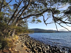 Image of NRMA Port Arthur Holiday Park