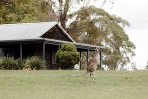 Image of Palmers Lane Estate Hunter Valley