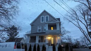 Image of Fairfield Whole House