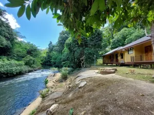 Image of Khaosok Rainforest Resort