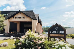 Image of Bluebird Lake Placid