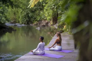 Image of Adiwana Svarga Loka - A Retreat Resort