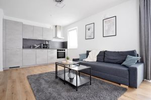 Image of Deluxe apartment in the centre of OS