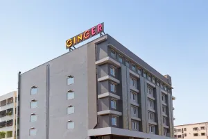 Image of Ginger Vishakhapatnam Gajuwaka