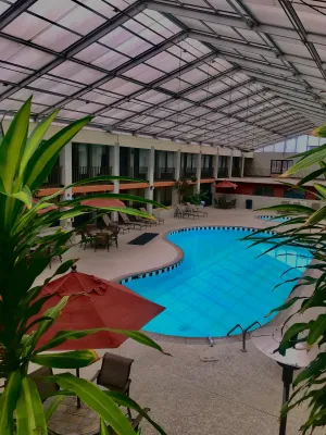 Image of VetteCity Hotel