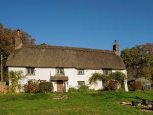Image of Little Lions Farm