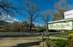 Image of The Birch House - Silver Birches Accommodation Bright