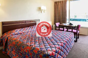 Image of Springwood Hotel
