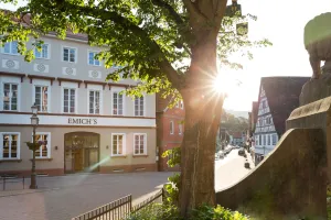 Image of EMICH´S Hotel