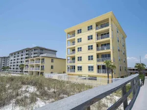 Image of Turtlewalk #401