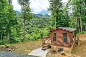 Image of Quaint Log Cabin with Views Near West Jefferson