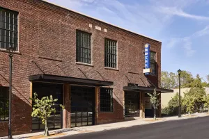 Image of The Radical Asheville, Tapestry Collection by Hilton