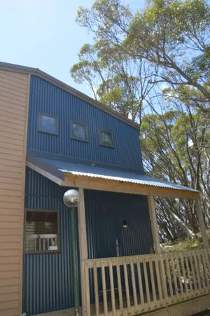 Image of Discobulous 6