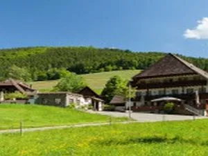Image of Landgasthaus Grüner Baum