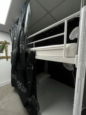 Image of Cozy Bears Bunkers