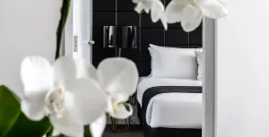 Image of KOZYGURU Chatswood Luxury Studio NCH088-720