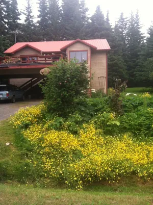 Image of Whalesong Bed and Breakfast