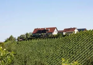 Image of Winzerhof Strablegg