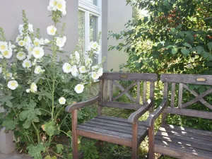 Image of Spacious Bungalow in Blowatz Germany near Baltic Sea