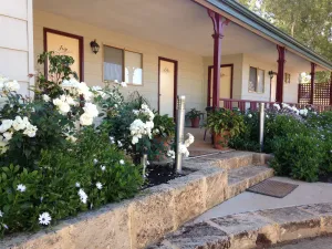 Image of The Nosh & Nod - Avon Terrace