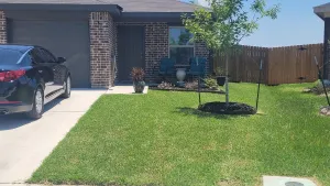 Image of The Clean Home