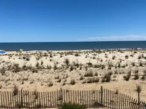 Image of Beachcomber 5