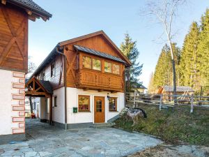 Image of Chalet in Mariapfarr near ski area