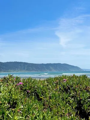 Image of Redwood RV Park