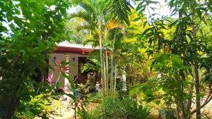 Image of Yashi's Place Sigiriya