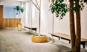 Image of Canary Hotel