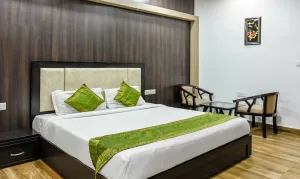 Image of Treebo Red Petal Jalandhar