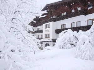 Image of Hotel Alpenhaus Evianquelle