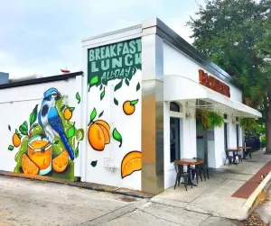 Image of 116 Mediterranean Way