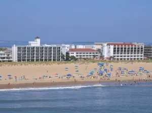 Image of Castle in the Sand