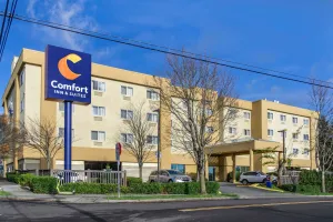 Image of Comfort Inn & Suites Seattle North
