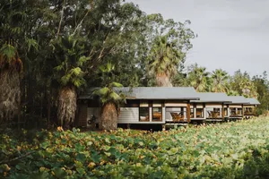 Image of The Boathouses at Leaves & Fishes