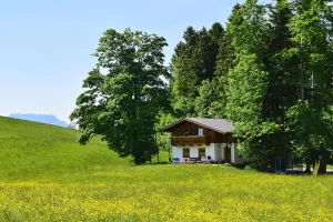 Image of Holiday Home Kathrin, St. Koloman