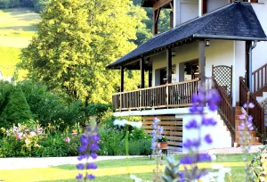 Image of Logis Hôtel Etchemaïté