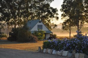 Image of Bracken Ridge Vineyard - The Stables - Villa 1