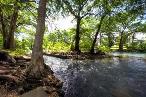 Image of WW G302 River Vista