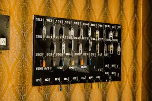 Image of Hotel Anand Palace