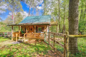 Image of 9 Mi to Creeper Trail: Woodsy Abingdon Cabin