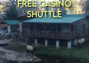 Image of Qualla Cabins and Motel Cherokee near Casino