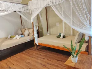 Image of The Jungle View