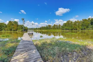 Image of Alabama River Retreat: Dock, Fire Pit, Grill!