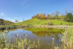 Image of Peaceful Butler Hideaway at The Pond