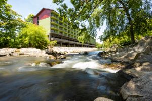 Image of Creekstone Inn