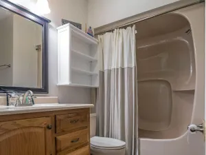 Image of 2 Br: Whistlepunk 28