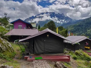 Image of Ourguest Camp Lachung