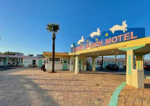 Image of Magic Beach Motel - Vilano Beach, Saint Augustine
